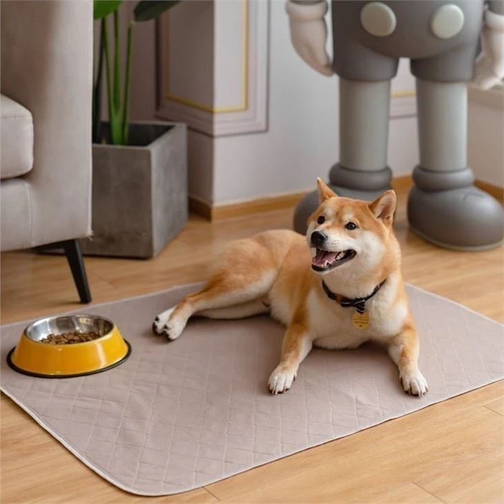 training-pee-pad-for-dogs05561360192